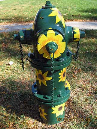 703 S. Illinois - Sunflowers